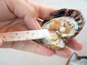 Die Geschichte Dubais und der Perlenhandel