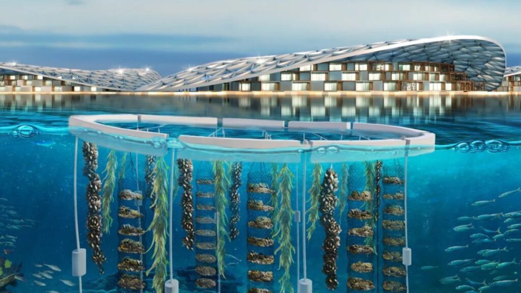 Dieses Projekt wird aus Wohnungen, Hotels, Geschäften, Bildungseinrichtungen und Forschungseinrichtungen bestehen. I